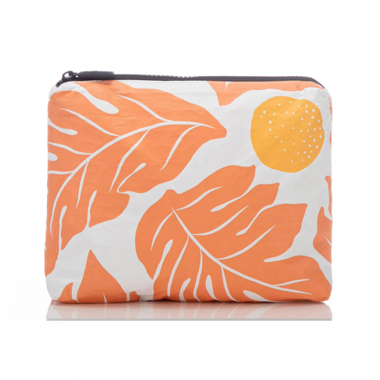 custom Tyvek Pouch